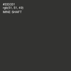#333331 - Mine Shaft Color Image